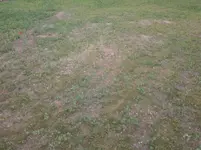 20140616_123405.webp
