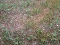 20140616_123411.webp