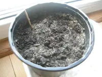 DSCN1249.webp