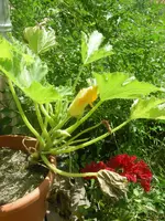 DSCN1253.webp