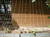 DSCN1255.webp