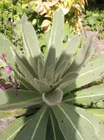 003.webp