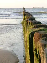 CIMG1325.webp