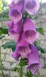 tmp_8212-CYMERA_20140608_082841-996859837.webp
