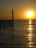 Holland 2009 004.webp
