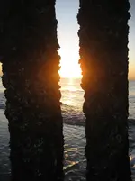 Holland 2009 011.webp