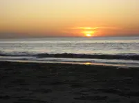 Holland 2009 023.webp