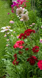 IMG_1257.webp