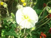 025.webp