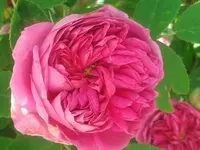 022.webp