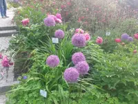 002.webp