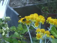 BILD2965.webp