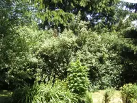BILD2946.webp