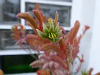 P1120519.webp