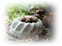 Beton Gugelhupf.webp