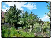 Garten.webp