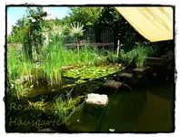 Teichblick.webp