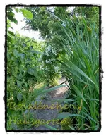 Weg.webp