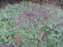 20140616_122355.webp