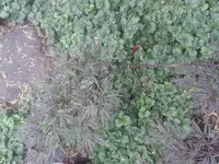 20140616_122413.webp