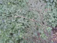 20140616_122428.webp