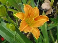 003_1024x768.webp