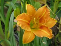 pittance_1024x768.webp