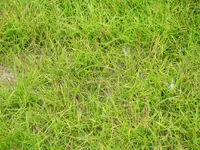 IMG_1584.webp