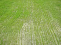 IMG_1585.webp