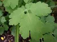 20140510_120846.webp