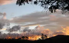 Copy of IMG_8257v.webp