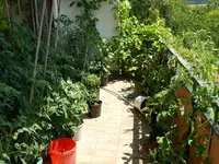 k-P1070938.webp