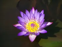 076.webp
