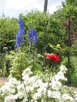 IMG_5049.webp