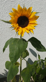 2014-06-18 21.09.31.webp