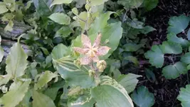 19.6 009.webp
