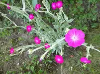 P1010836.webp