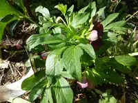 P1120740.webp