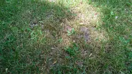 Mehrere Stellen.webp