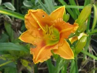 001_1024x768.webp