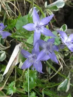 006_576x768.webp