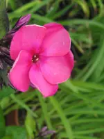 003_576x768.webp