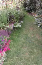 01_IMAG2173.webp