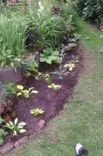 04_IMAG2176.webp
