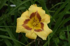DSC01671.webp
