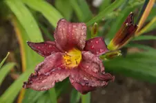 DSC01672.webp