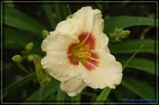 comp_DSC01673.webp