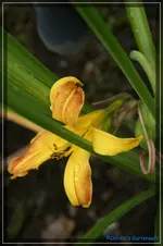 comp_DSC01677.webp