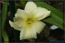 comp_DSC01678.webp