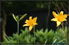 comp_DSC01690.webp